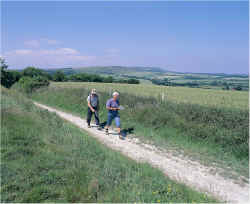 Exploring the South Downs - click for full size image (165KB)