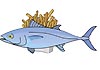 fish.jpg (10978 bytes)