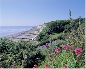 View towards the Italian Gardens at Holywell